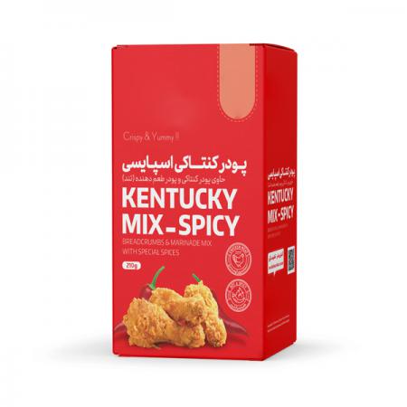 نحوه سفارش پودر سوخاری چیپسی به صورت اینترنتی